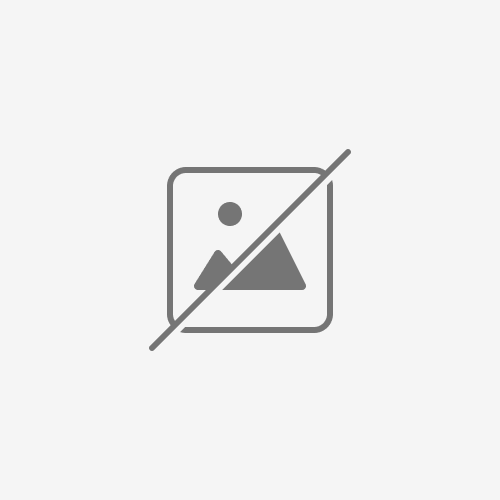 Mad Dojo Steam Key GLOBAL